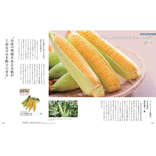 日本の贈り物　梅の画像2