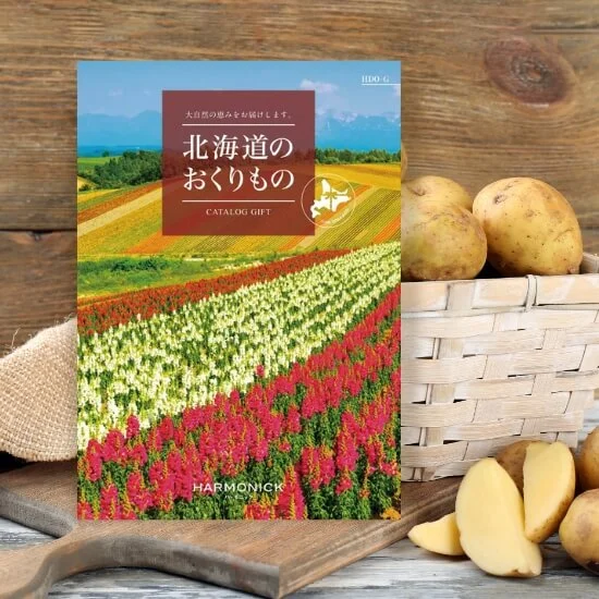 北海道のおくりもの HDO-G